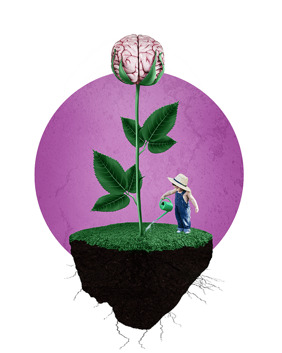 Nurture Capital illustration